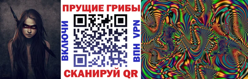 Псилоцибиновые грибы Cubensis  Приморско-Ахтарск 